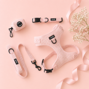 Set Blush & Biscuits
