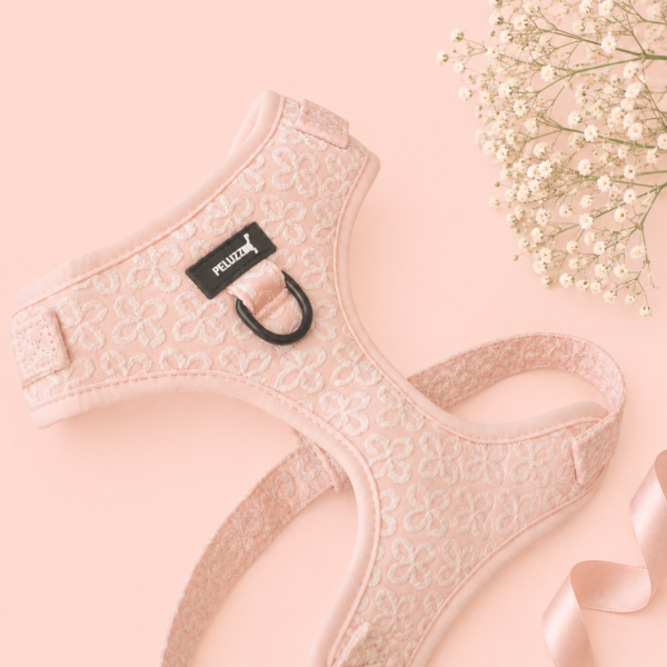 Set Blush & Biscuits - Imagen 2