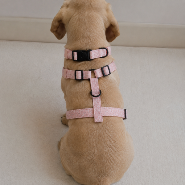 Set Blush & Biscuits - Imagen 9