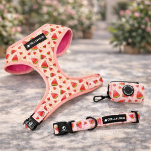 Set Watermelon Spritz