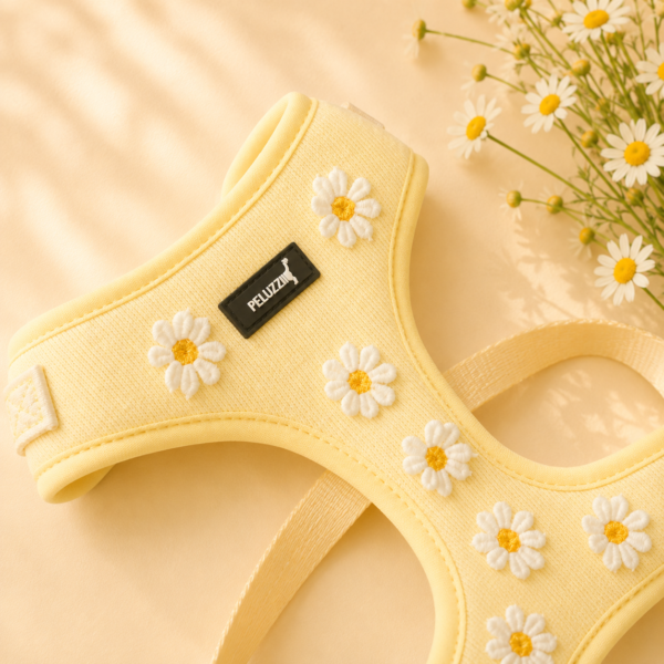 Set Daisy Buttery - Imagen 2