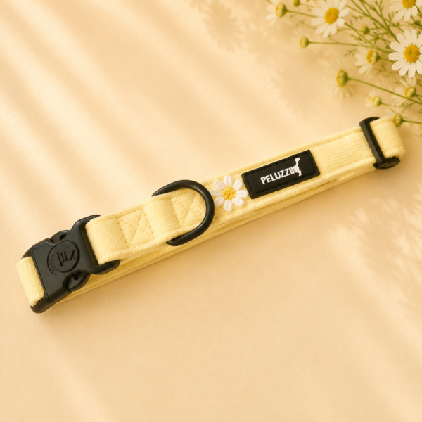 Set Daisy Buttery - Imagen 4