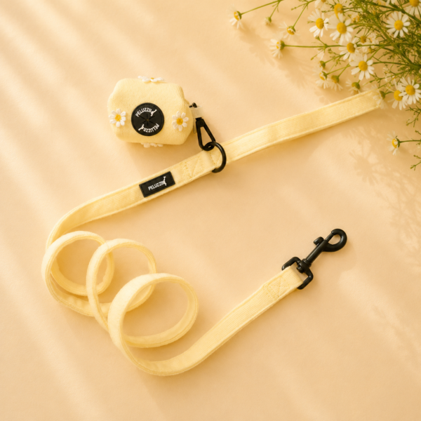 Set Daisy Buttery - Imagen 5