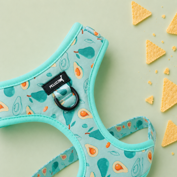 Set Guacamole Lover - Imagen 2