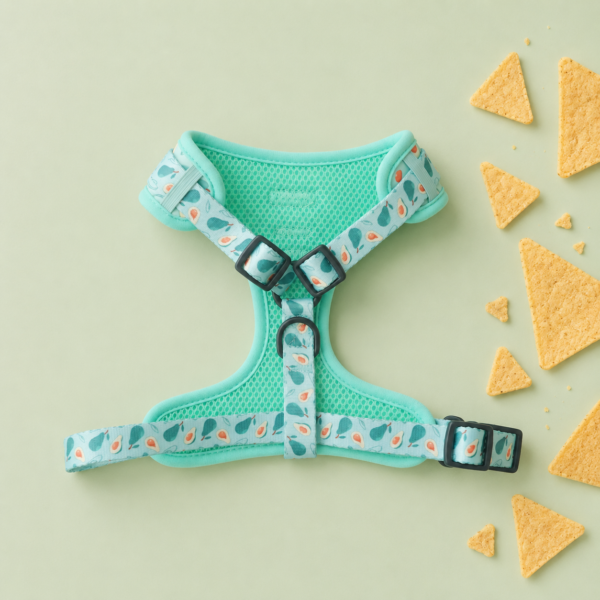 Set Guacamole Lover - Imagen 3