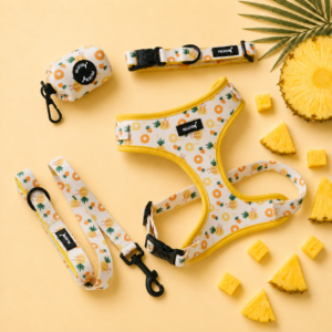 Set Pineapple Punch