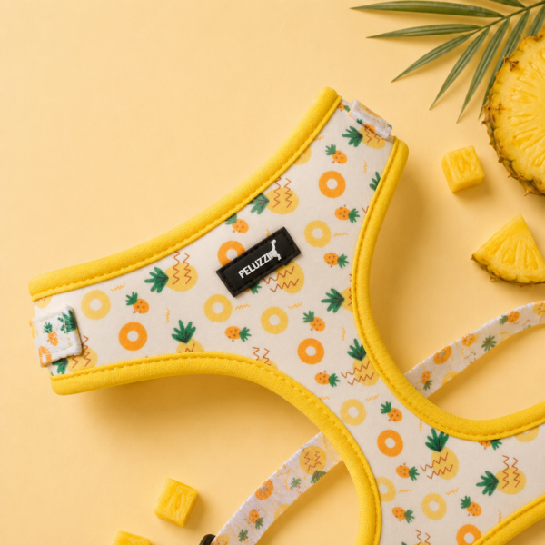 Set Pineapple Punch - Imagen 2