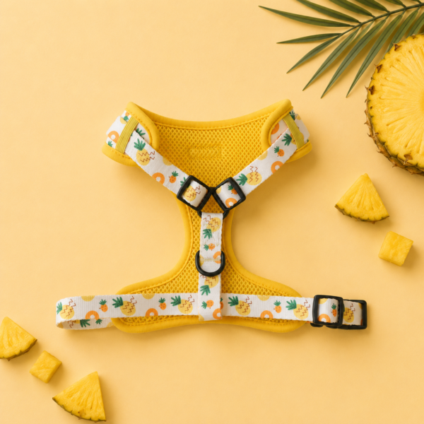 Set Pineapple Punch - Imagen 3