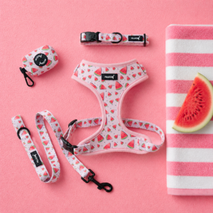 Set Watermelon Spritz