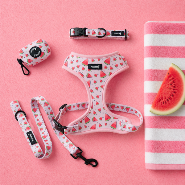 Set Watermelon Spritz