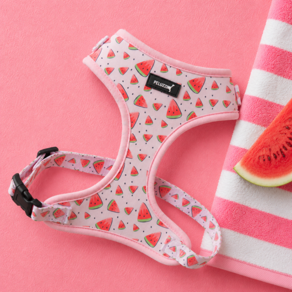 Set Watermelon Spritz - Imagen 2