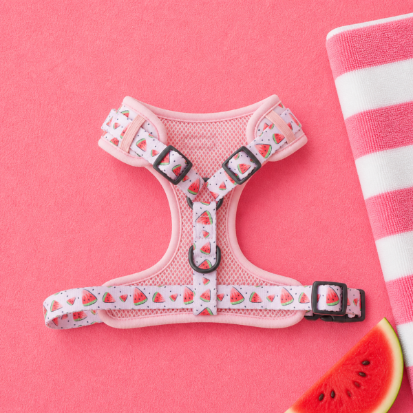 Set Watermelon Spritz - Imagen 3