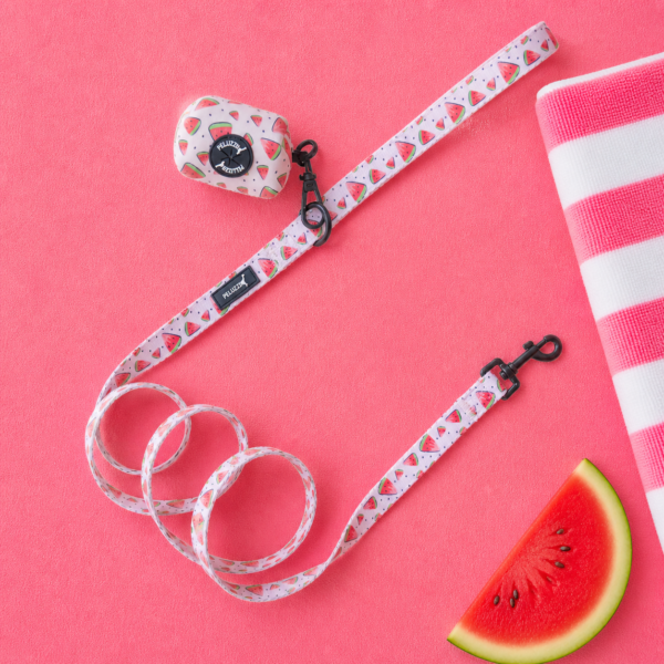 Set Watermelon Spritz - Imagen 5